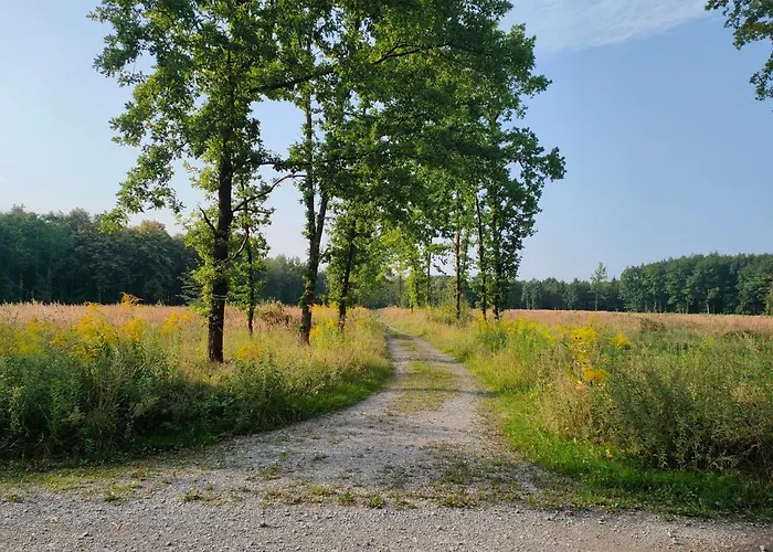 Na Pasekach Bystrice (Moravia-Silesia)